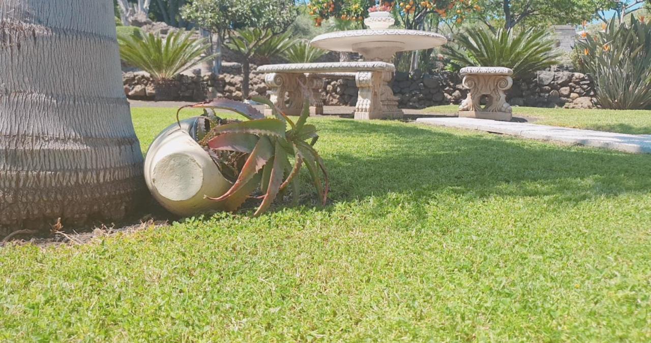 Villa Laura ปิเอดิมอนเต เอตเนโอ ภายนอก รูปภาพ
